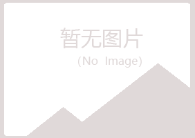 伊春翠峦夏岚金融有限公司